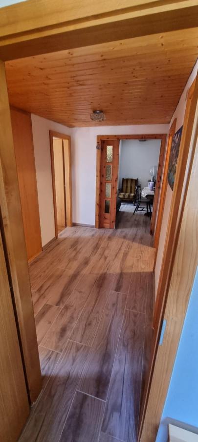 Le Panorama - Appartement 54 A Arolla Face Aux Montagnes A 150M Des Pistes Evolène Εξωτερικό φωτογραφία