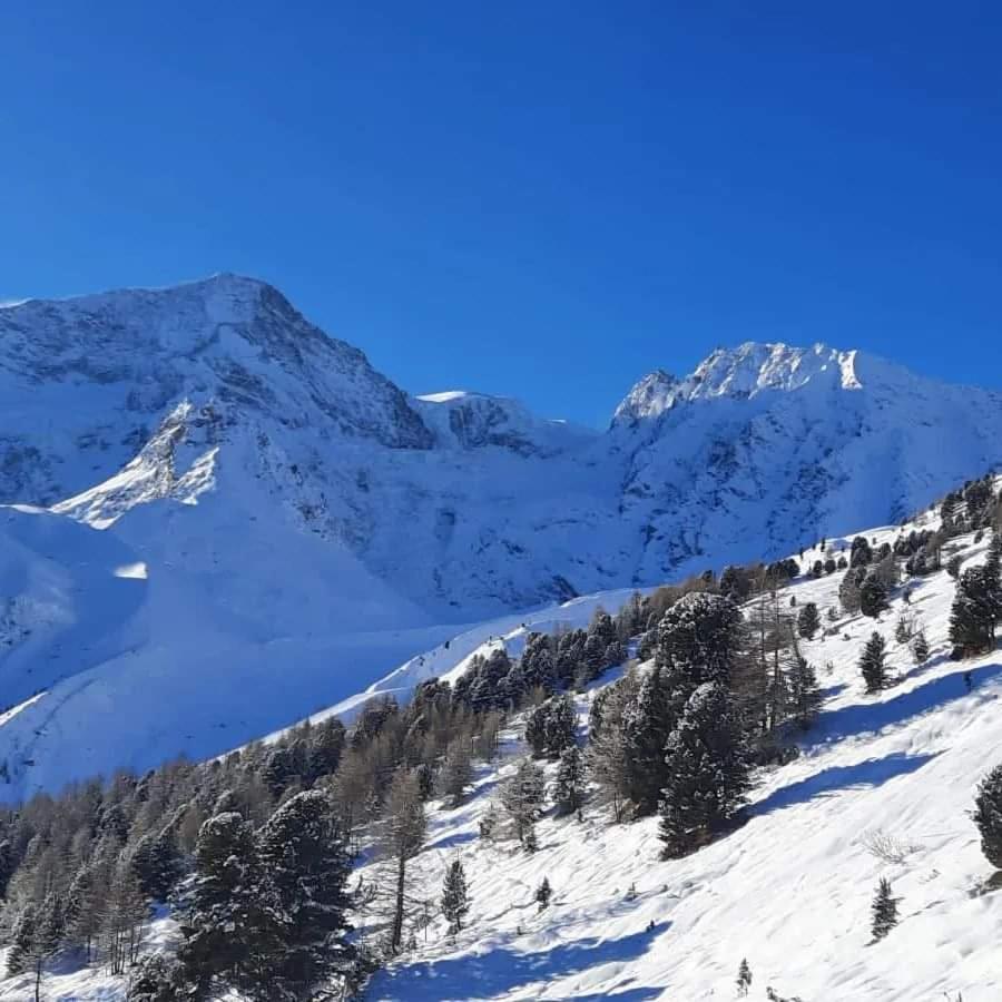 Le Panorama - Appartement 54 A Arolla Face Aux Montagnes A 150M Des Pistes Evolène Εξωτερικό φωτογραφία